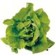 Органические семена листового салата 0.41 гр - Natural Green