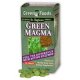 Грин Магма (Geen Magma) экстракт ячменя 250 таблеток "Green Foods"
