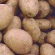 Экологически чистый картофель 1кг. "Адама/Хардуф"