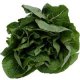 Органические семена шпината 1.0 грамма - Natural Green