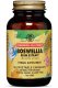 Стандартизированный экстракт Босвелии 60 капсул - Солгар