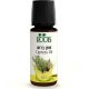 Кипарис - 100% эфирное масло 10 мл - Roots Botanical