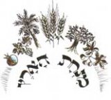 Minhat Haaretz - органическая мука