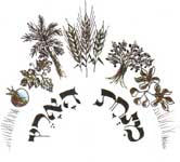 Minhat Haaretz - органическая мука